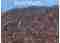 Multch